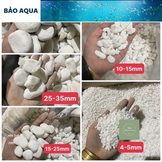 1kg sỏi trắng trang trí hồ cá - phụ kiện bể cá trang trí tiểu cảnh