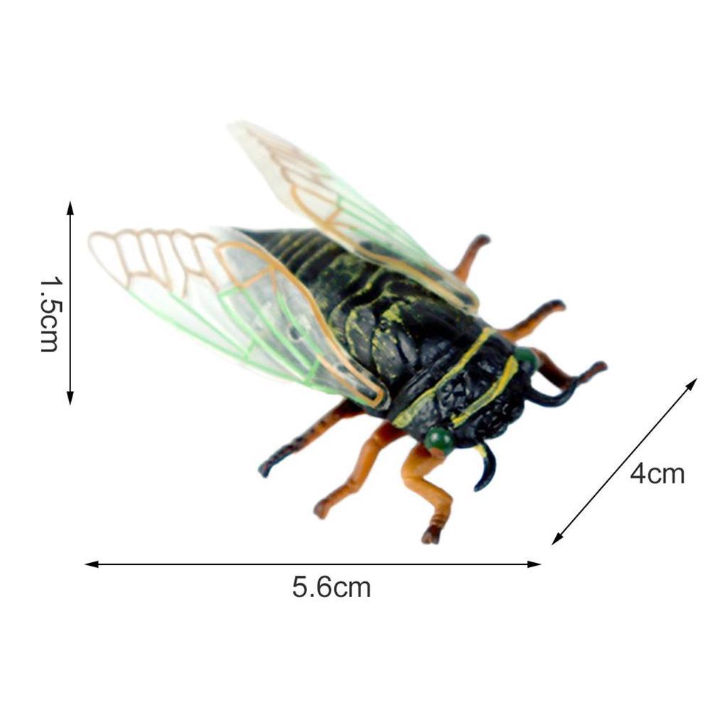 Set 1 / 4 Mô Hình Côn Trùng Đồ Chơi Giáo Dục Sớm Cho Bé