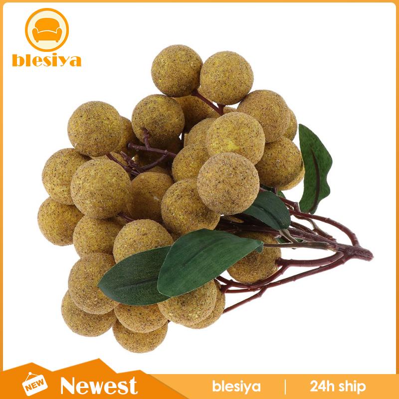 [Blesiya] Thức Ăn Nhân Tạo - Thức Ăn Để Chơi - Longan