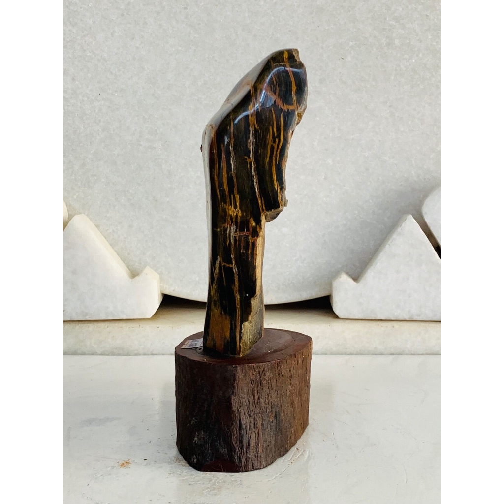 Gỗ Hoá Thạch tự nhiên .,......