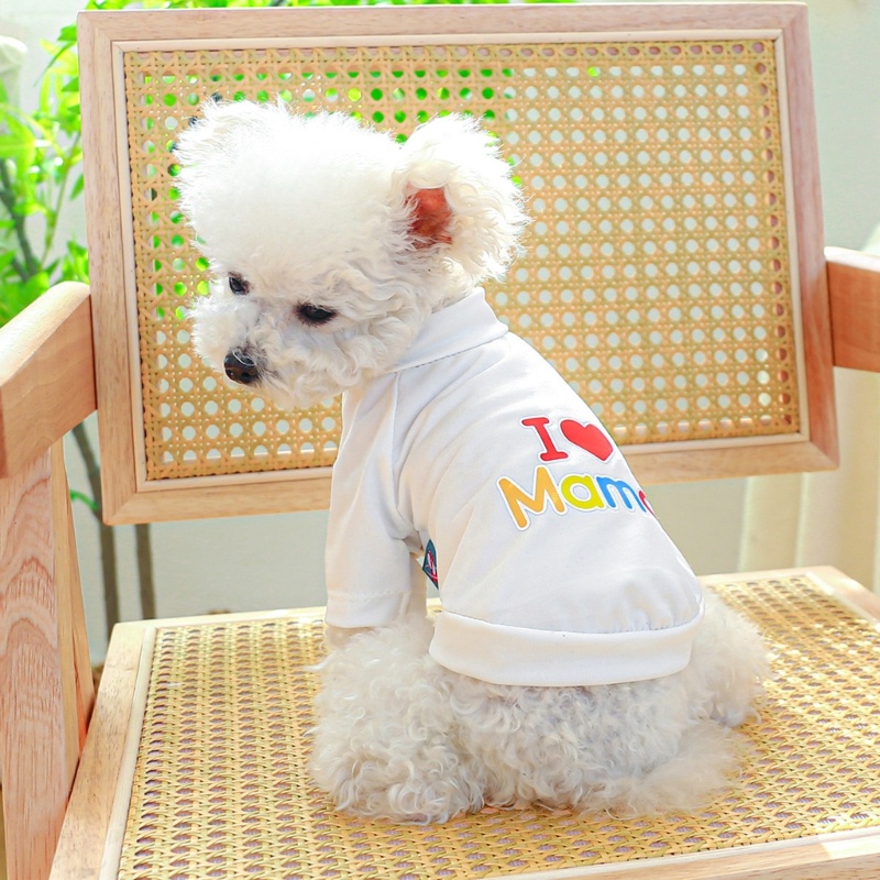 Áo Thun In Chữ Super Dog Dễ Thương Thời Trang Mùa Xuân Cho Cún Cưng