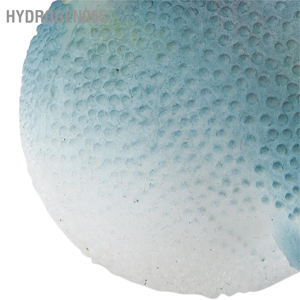 Hydrogen065 Hồ Cá Nóc Dạ Quang Mô Phỏng Cao Su Có Giác Hút Cho Bể