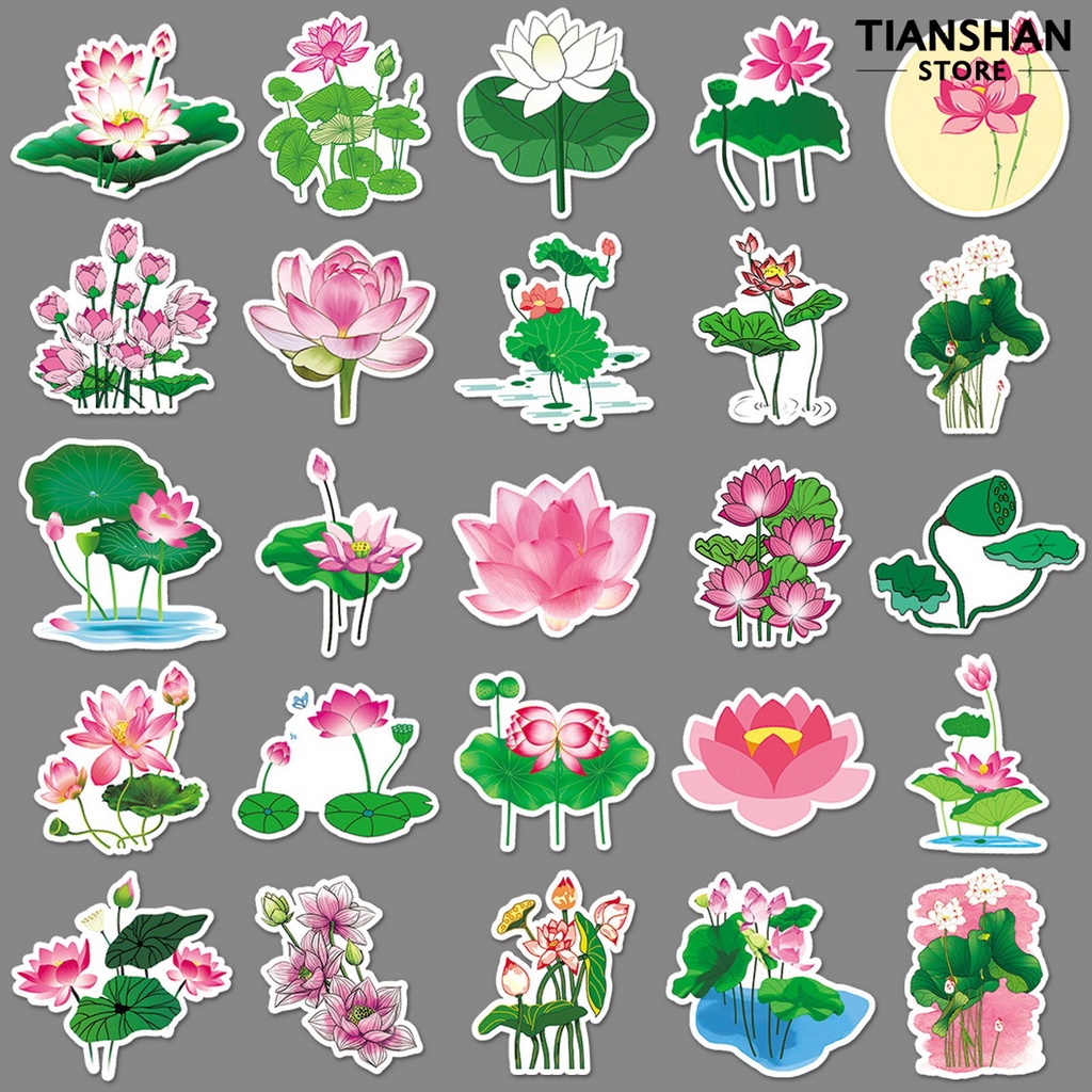 Tianshan Set 50 Miếng Dán Hình Hoa Sen Tự Dính Trang Trí Sổ Tay / Điện Thoại / Laptop / Trường Học