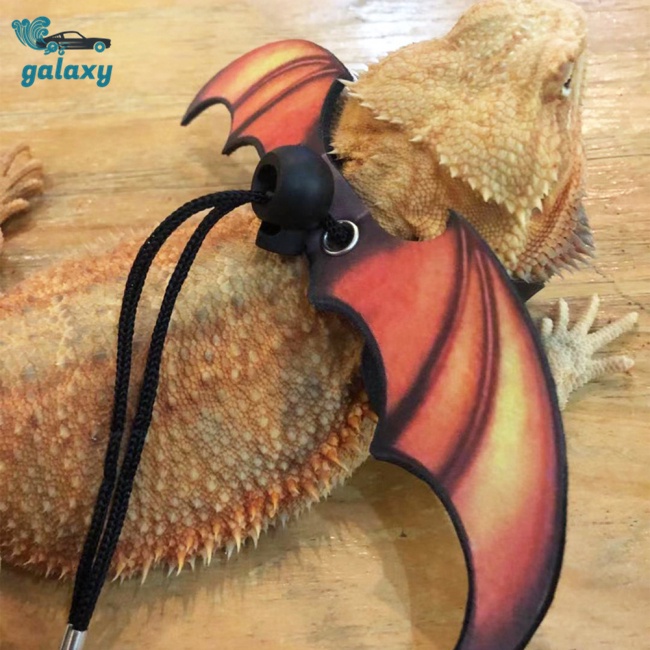 Galaxy Dây Dắt Thú Cưng Đi Dạo Bằng Da Có Thể Điều Chỉnh