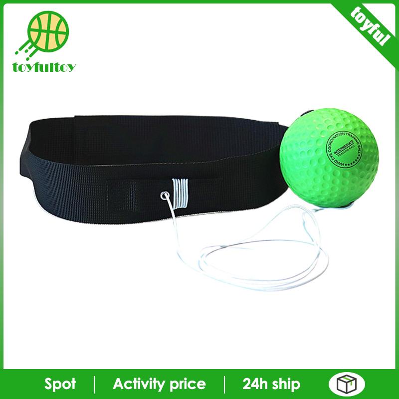 Bóng Luyện Tập Đấm Bốc Chuyên Dụng Chất Lượng Cao