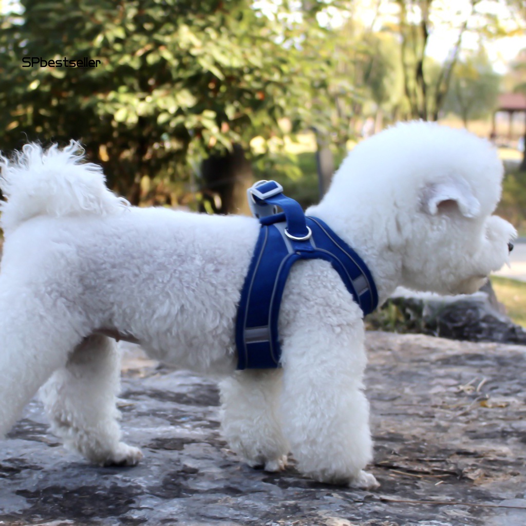 Dây Dắt Thú Cưng Đi Dạo An Toàn Có Thể Điều Chỉnh Được Kèm Dải Phản Quang