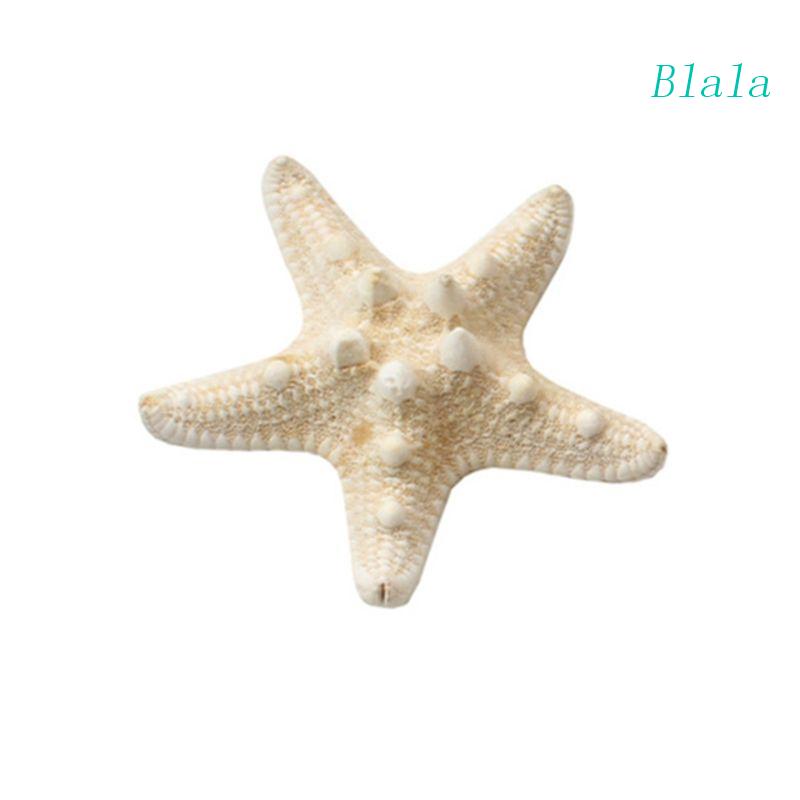 Kẹp Tóc Kim Loại Hình Sao Biển Thanh Lịch