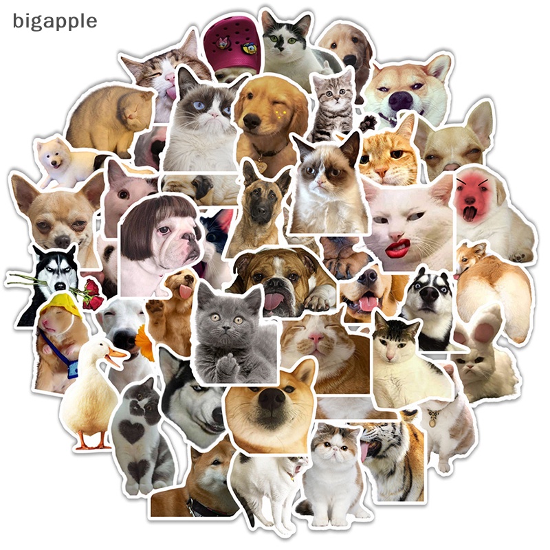 Set 50 Sticker Hình Động Vật Vui Nhộn Dùng Để Trang Trí Đàn Ghita