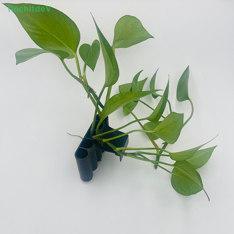 Giỏ Trồng Cây Trang Trí Bể Cá Có Tích Hợp Tích Hợp Tiện Lợi