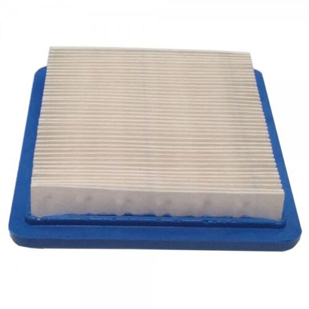 Bộ Lọc Không Khí Tương Thích Với Động Cơ RM45 RM55 RM65 OEM 118550257/0
