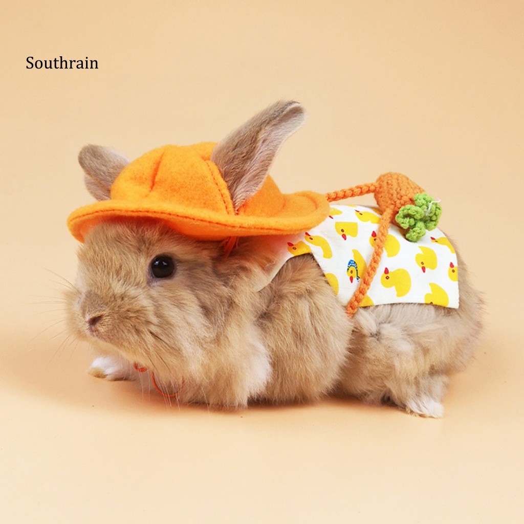 1 Bộ Áo Vest Và Dây Dắt Thú Cưng Đi Dạo Thiết Kế Thanh Lịch Thoáng Khí