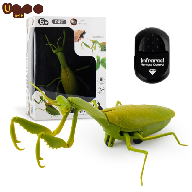 Đồ Chơi Côn Trùng Điện Tử Điều Khiển Từ Xa Hồng Ngoại Hình Halloween Cho Bé