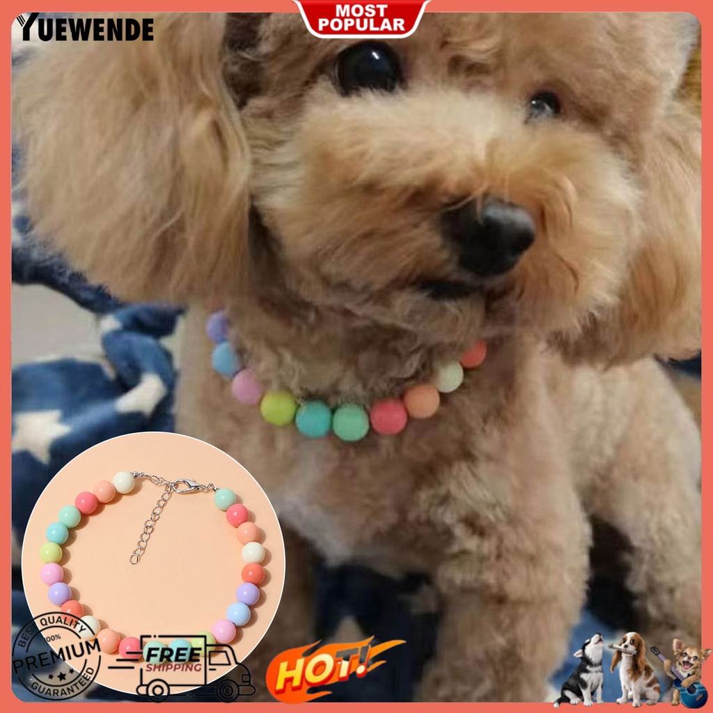 Vòng Cổ Ngọc Trai Giả Nhiều Màu Thời Trang Cho Thú Cưng Chụp Ảnh
