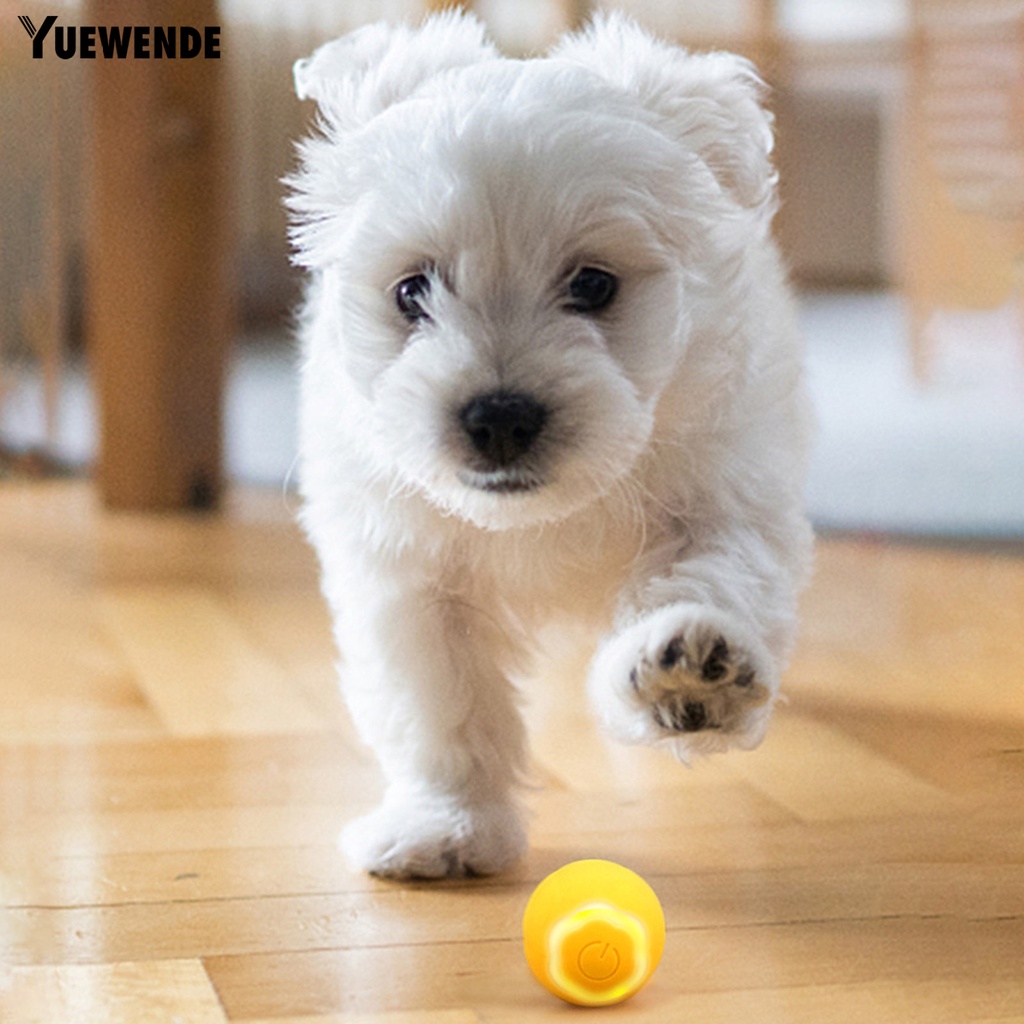 Đồ Chơi Bóng Lăn Điện Tử Thông Minh Chống Cắn 2 Chế Độ Có Thể Sạc Lại Hỗ Trợ Giảm Căng Thẳng Cho Mèo Cưng