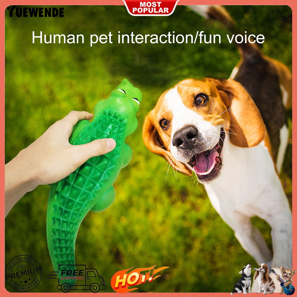 Đồ Chơi Hình Cá Sấu Phát Ra Âm Thanh Vui Nhộn Cho Thú Cưng