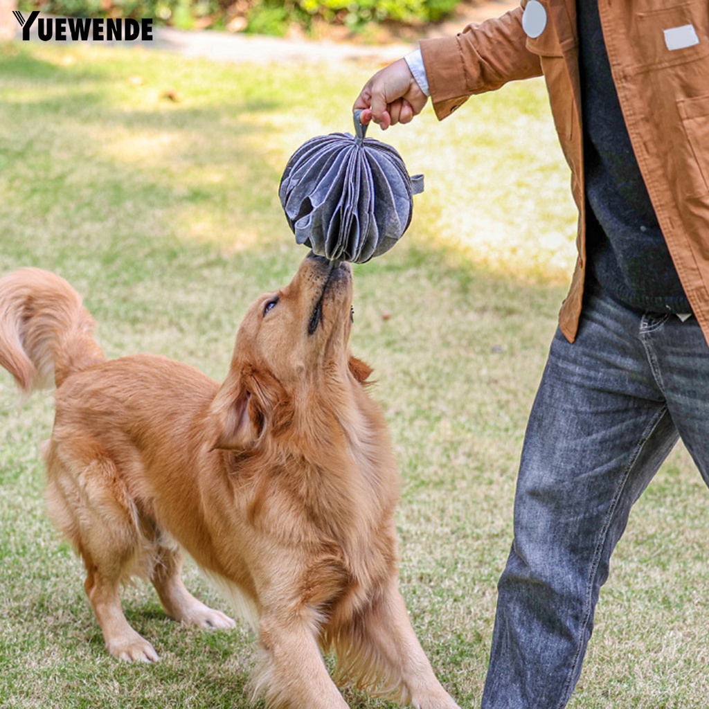 Bóng Đồ Chơi Chống Cắn Linh Hoạt Huấn Luyện Thú Cưng Trong Nhà