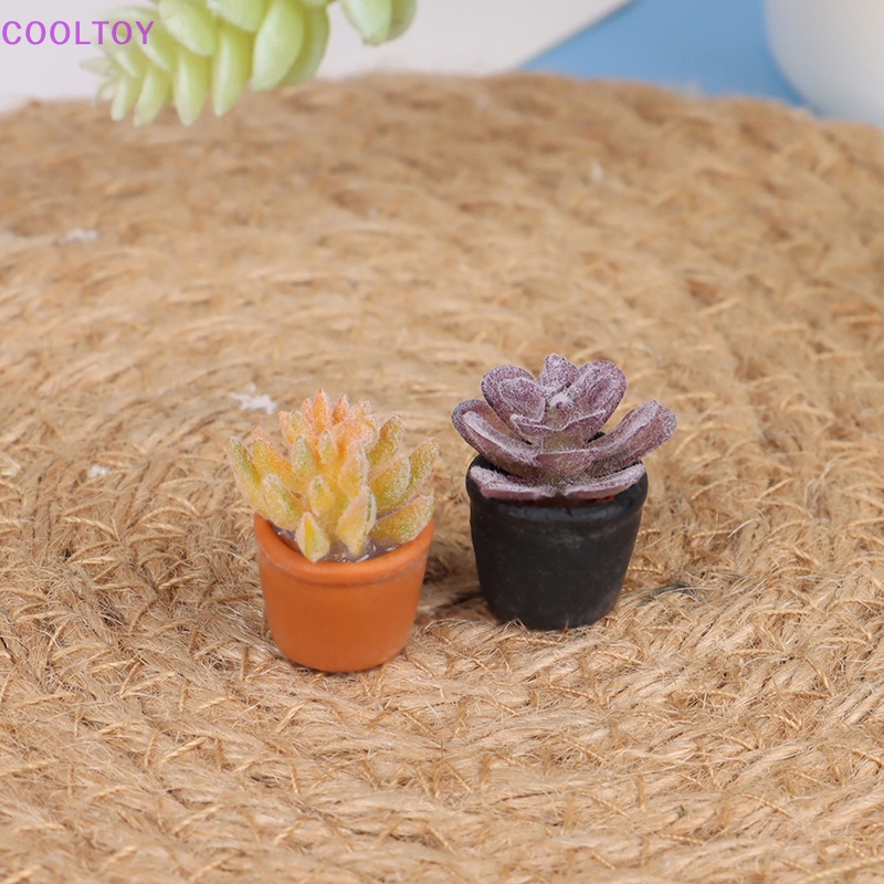 Set 5 Mô Hình Bình Nước COOLTOY Mini Tỉ Lệ 1: 12 Trang Trí Nhà Búp Bê