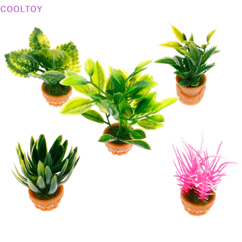 1 Đồ trang trí Nhà Búp Bê COOLTOY 1: 12 Mini Trang Trí Tiểu Cảnh