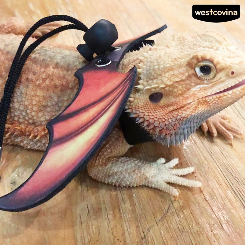 [COD]♞Dây Dắt Thú Cưng Đi Dạo Bằng Da Giả Có Thể Điều Chỉnh