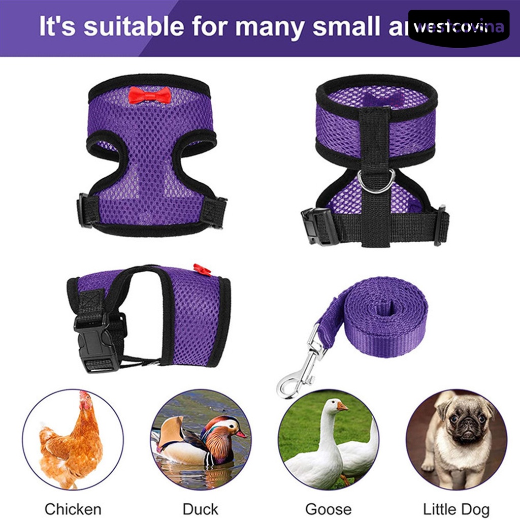 [COD]♞Áo Vest Lưới Thoáng Khí Có Kẹp Bằng Thép Không Gỉ Có Thể Điều Chỉnh Dành Cho Chó Mèo