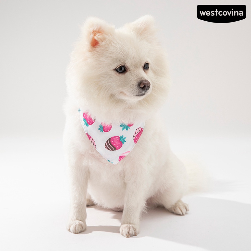 [COD]♞Khăn Choàng Cổ Tam Giác Có Vòng Kim Loại Mềm Tháo Gỡ Nhanh In Họa Tiết Trái Cây Cho Cún Cưng