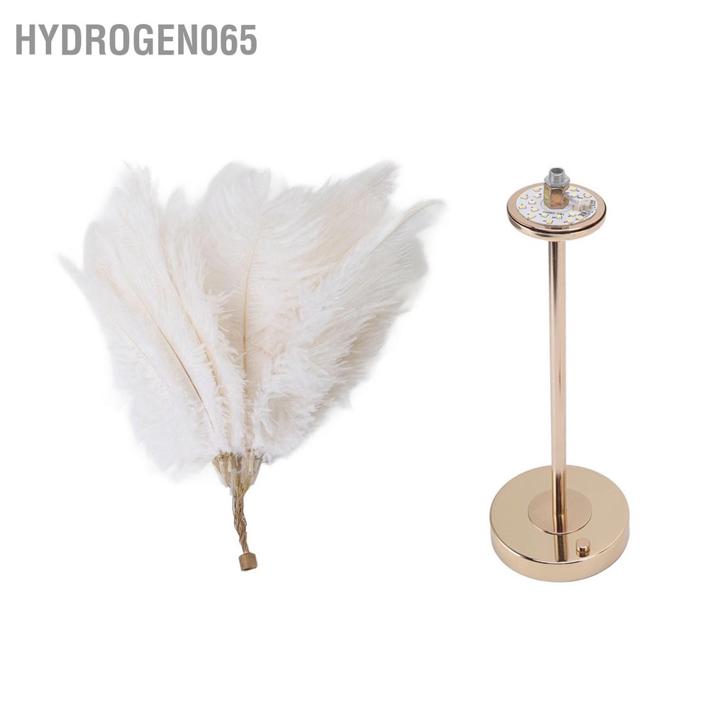 Hydrogen065 Lông Vũ Đèn Bàn Cảm Ứng USB Đà Điểu 3 Màu Mờ Để Vàng Đế Kim Loại 30 chiếc