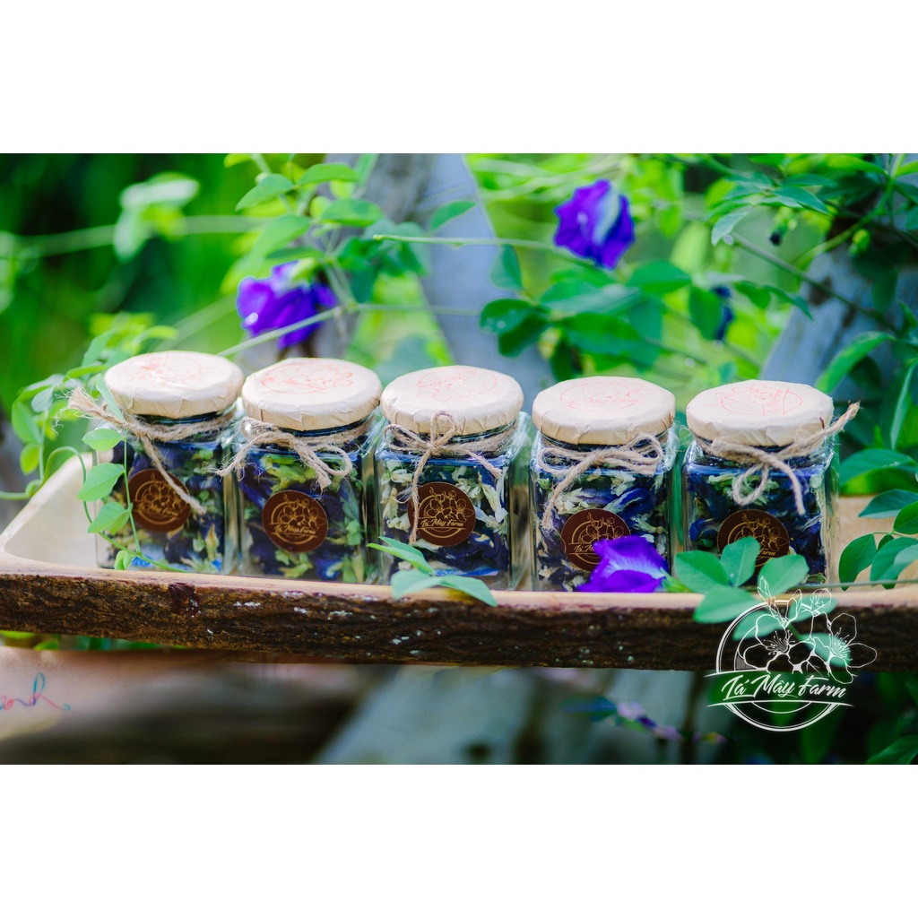 Trà hoa đậu biếc - Lá Mây Farm