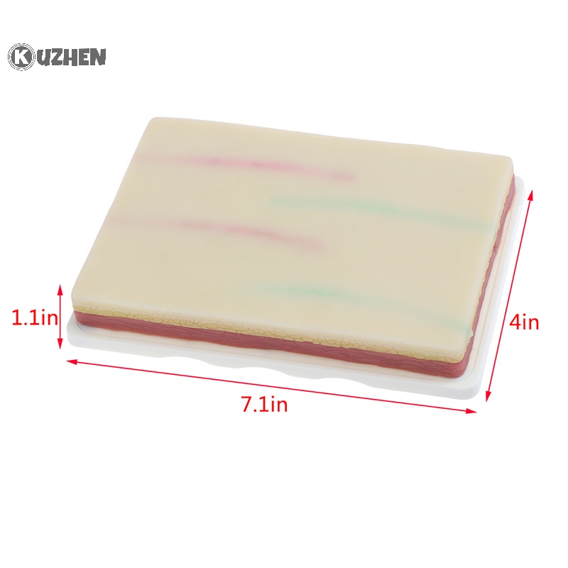 Mô hình thực hành tiêm tĩnh mạch kuzhen mô hình đào tạo khâu da người silicone hot