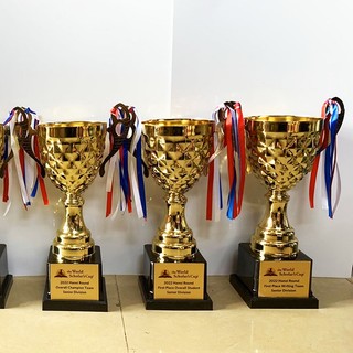 CUP BÓNG ĐÁ GIÁ RẺ - CUP 3116 ( MIỄN PHÍ THIẾT KẾ VÀ IN ẤN THEO YÊU CẦU )