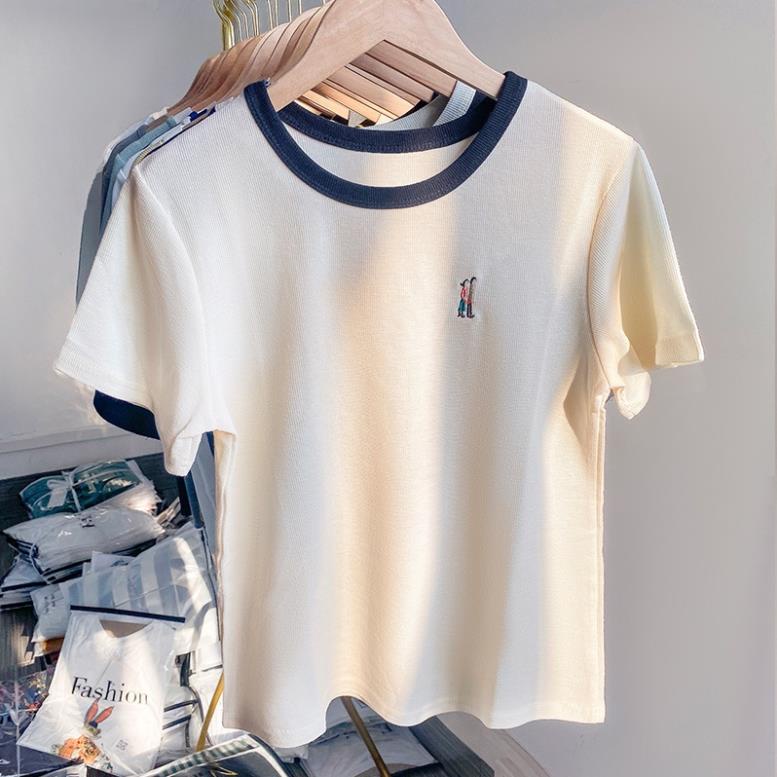 Áo baby tee thun unisex cotton tay ngắn thêu họa tiết màu sắc tương phản thời trang mùa hè Hascoo AT1