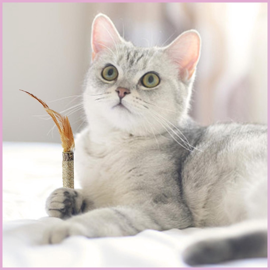 Đồ Chơi Nhai Gặm Bằng Lục Giác Phối Lông Vũ Mềm Mại Cho Mèo Cưng