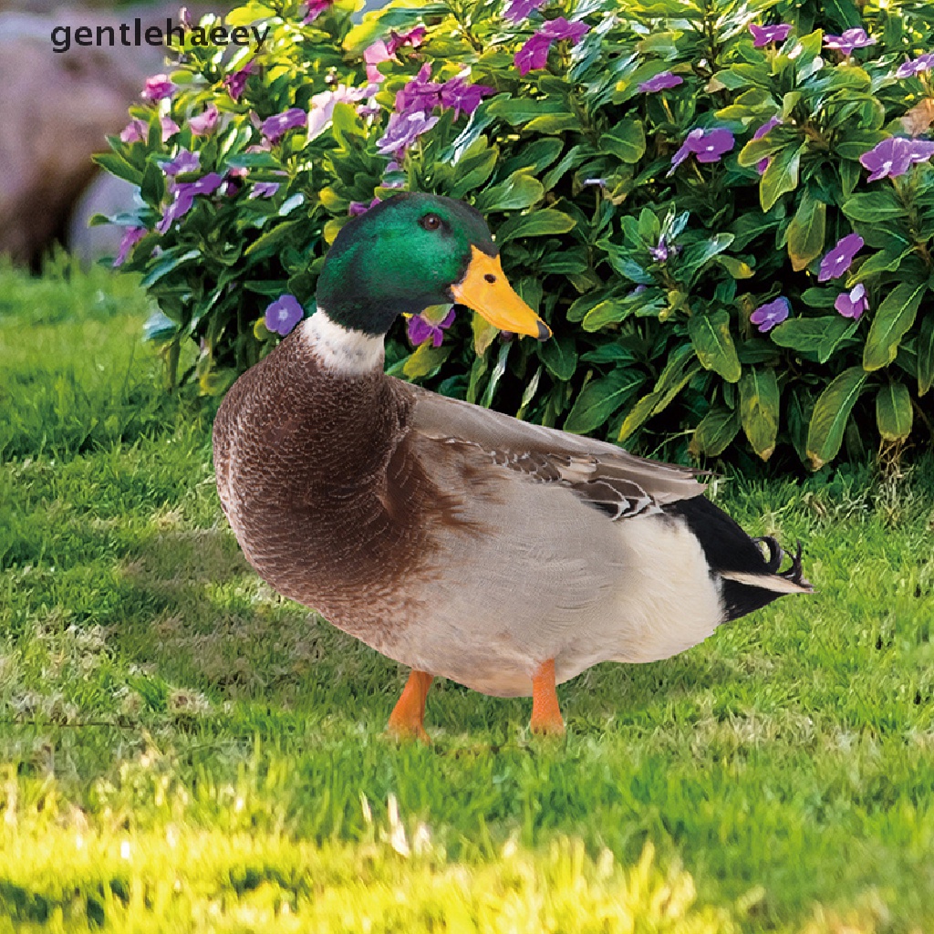 1 Bức Tượng Vịt Acrylic Điêu Khắc Thân Thiện Với Môi Trường Trang Trí Ngoài Trời