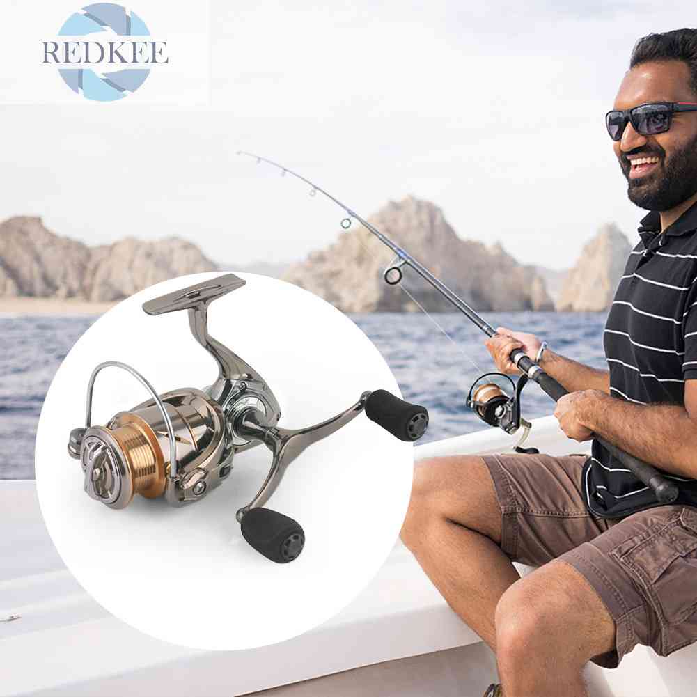 Máy Câu Cá 4 + 1 Bi Chuyên Nghiệp