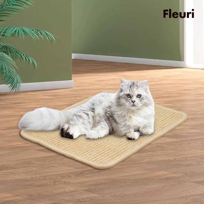 Thảm Cào Móng Cho Mèo Hình Chữ Nhật Chống Cào Có Thể Tái Sử Dụng