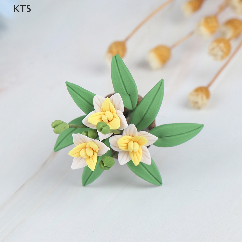 Chậu Hoa Đất Sét Mini 1: 12 Dùng Để Trang Trí Nhà Búp Bê