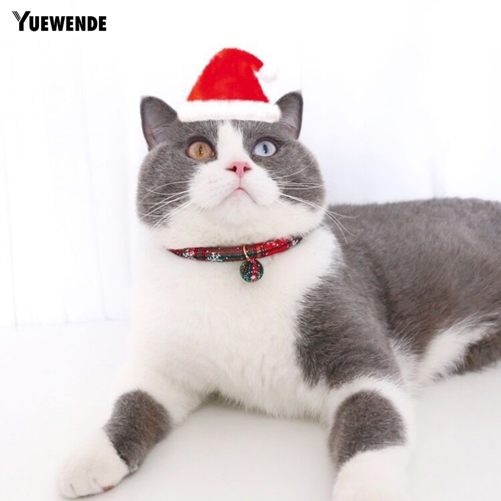 Vòng Cổ Mềm Mại Có Chuông Chống Cắn Cho Thú Cưng