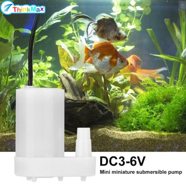 Máy bơm nước mini THINKMAX Dc3v5v6v9v sử dụng năng lượng mặt trời
