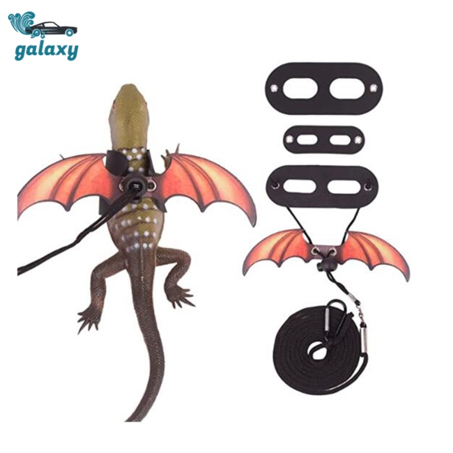 Galaxy Dây Dắt Thú Cưng Đi Dạo Bằng Da Có Thể Điều Chỉnh