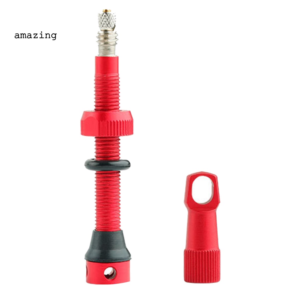 Van Bánh Xe Đạp Chống Bụi Có Thể Tháo Rời Mờ / Matte