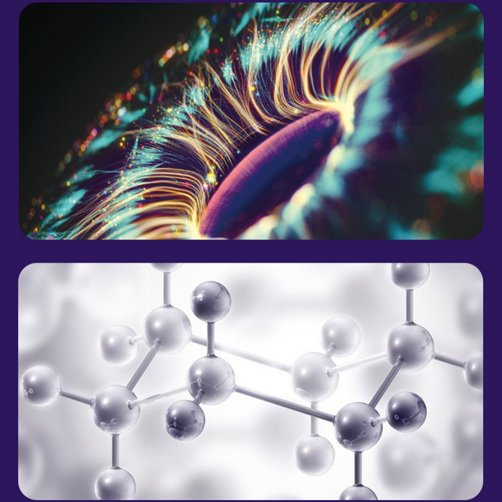 Kính Hiển Vi Đồ Chơi Chất Lượng Cao Dành Cho Bé | Kính Hiển Vi Điện Thoại Di Động Tiện Dụng | Kính Lúp 60 200x HD Chuyên Dụng