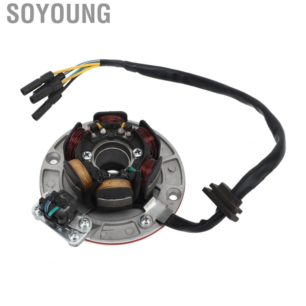 Soyoung Magneto Stator Coil  5 Wire Powerful for 150cc 160cc Kick Start Engine
