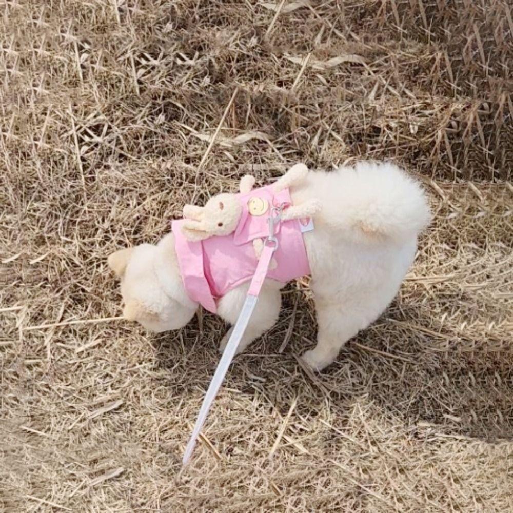 YIYU Dây Dắt Thú Cưng Đi Dạo Bằng Vải Canvas Thoáng Khí Thiết Kế Hình Thỏ / Gấu