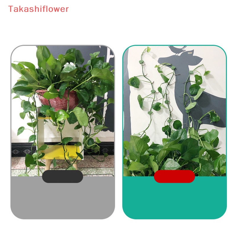 Set 10 Móc Kẹp Tự Dính Hình Chiếc Lá Chuyên Dùng Cố Định Cây Leo