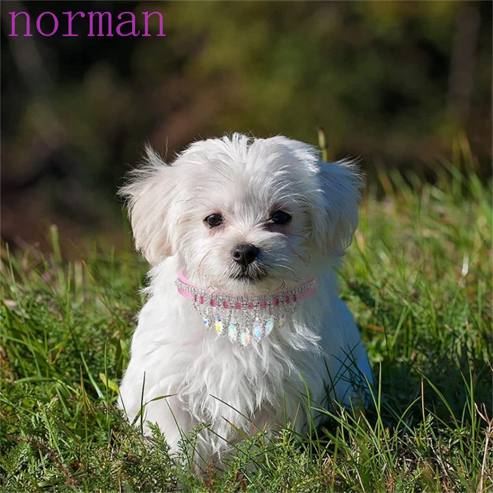 Vòng Cổ Da Mặt Hình Chú Chó NORMAN Thời Trang 2023|Dây Đeo Cổ Cho Mèo Con Có Thể Điều Chỉnh Kích Cỡ