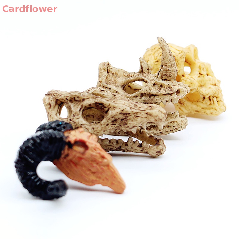 Mô Hình Sọ Cá Sấu Trang Trí Halloween 1: 12 Mới