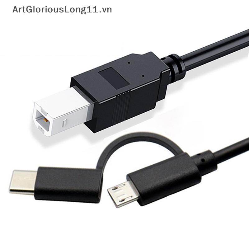 Dây Cáp Nối Dài 2 Trong 1 Cổng USB Loại C Cho Máy In / Piano Điện Tử