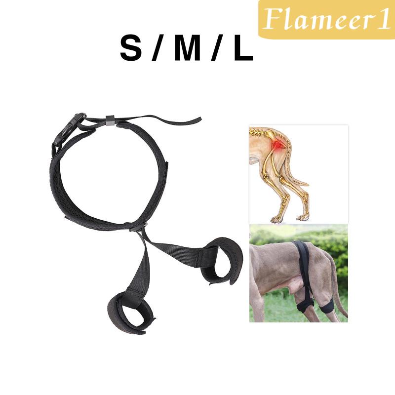 [Flameameer1] Đai Nẹp Hông Hỗ Trợ Cho Thú Cưng