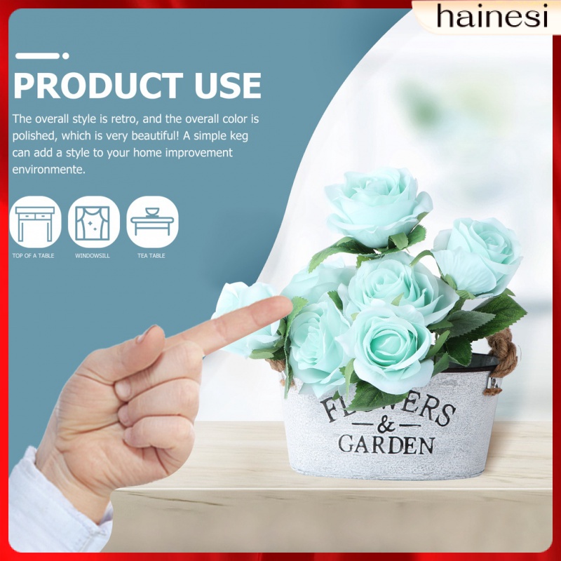 Chậu Hoa Bằng Thiếc Phong Cách Pháp Độc Đáo Trang Trí Nhà Cửa