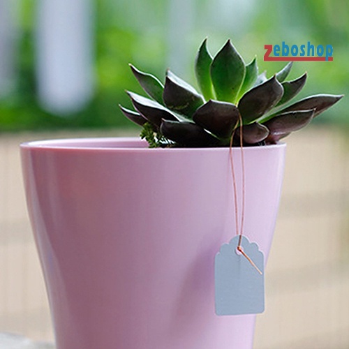 Set 100 Nhãn Treo Đánh Dấu Cây Trồng Chống Nước