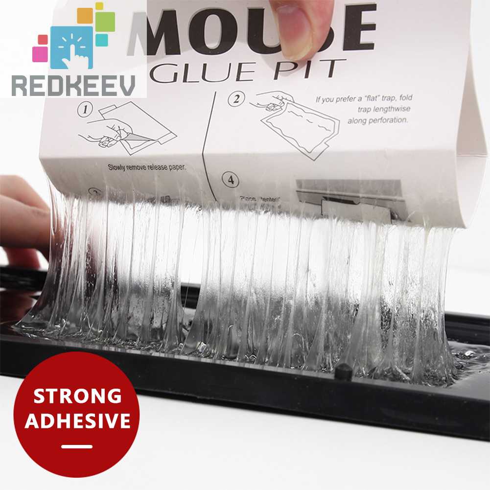 Bẫy Chuột Không Độc Hại Trọng Lượng Nhẹ Cho Nhà Ở / Ngoài Trời